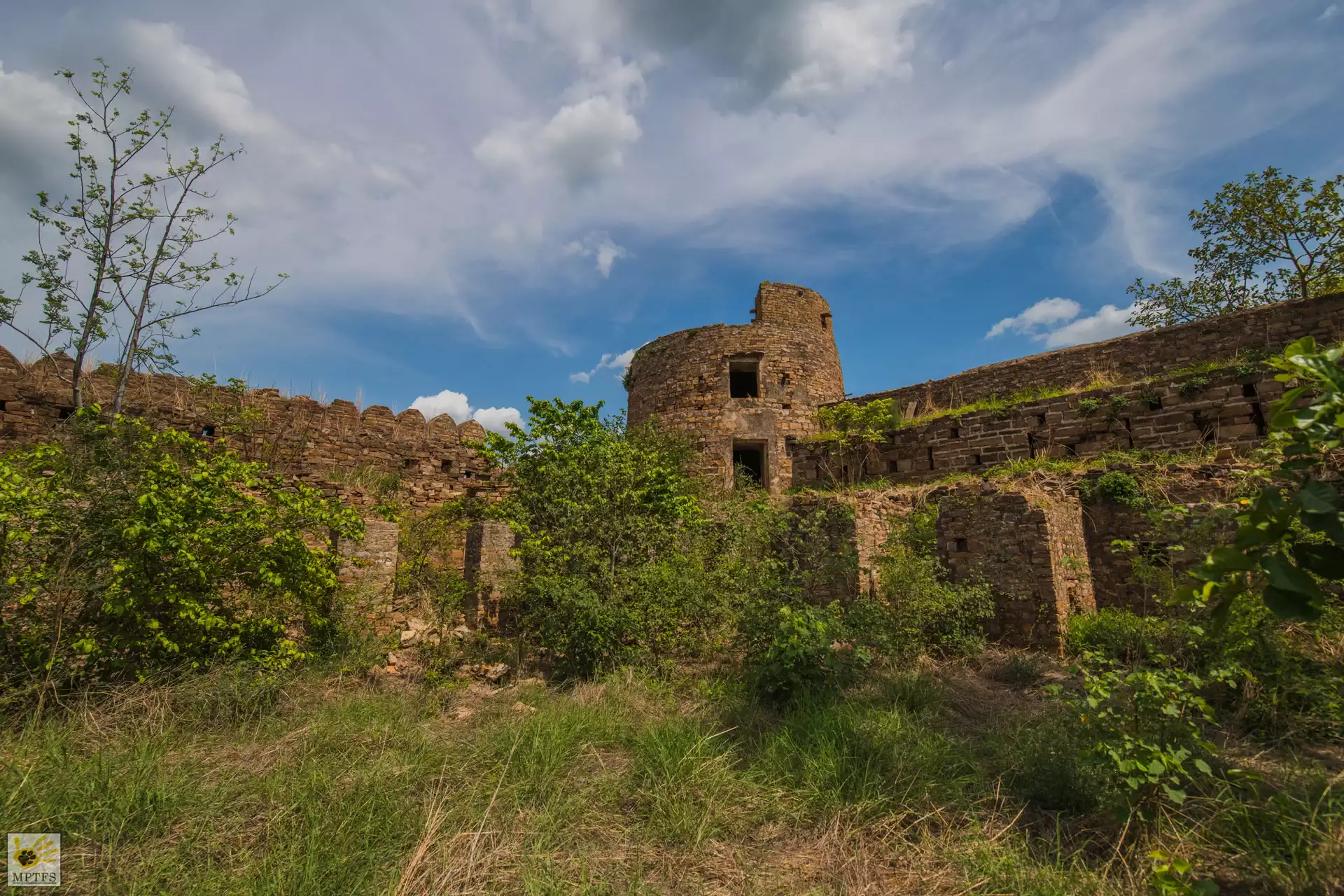 Bandhavgarh Safari