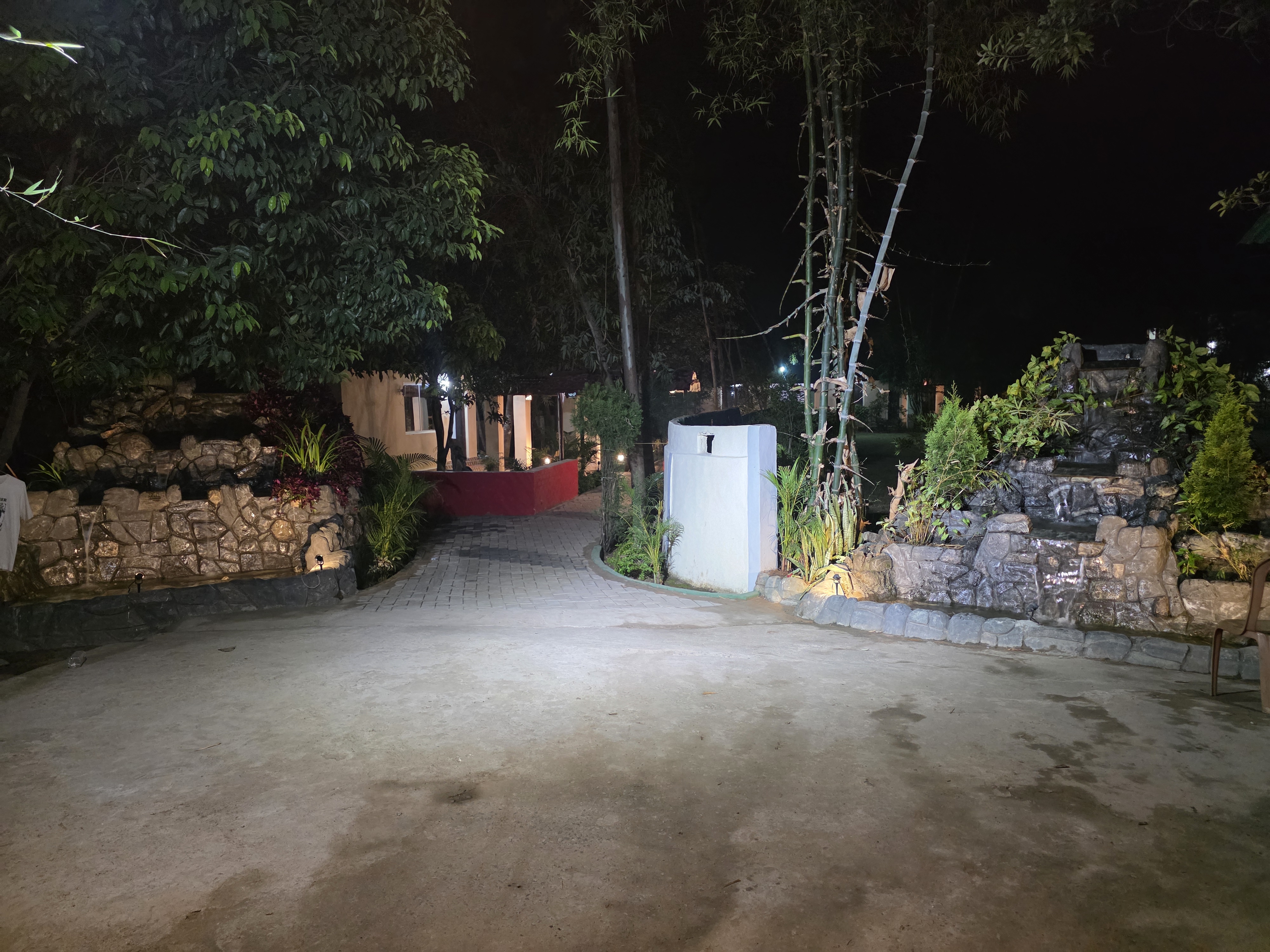 Jungle Suite Interior