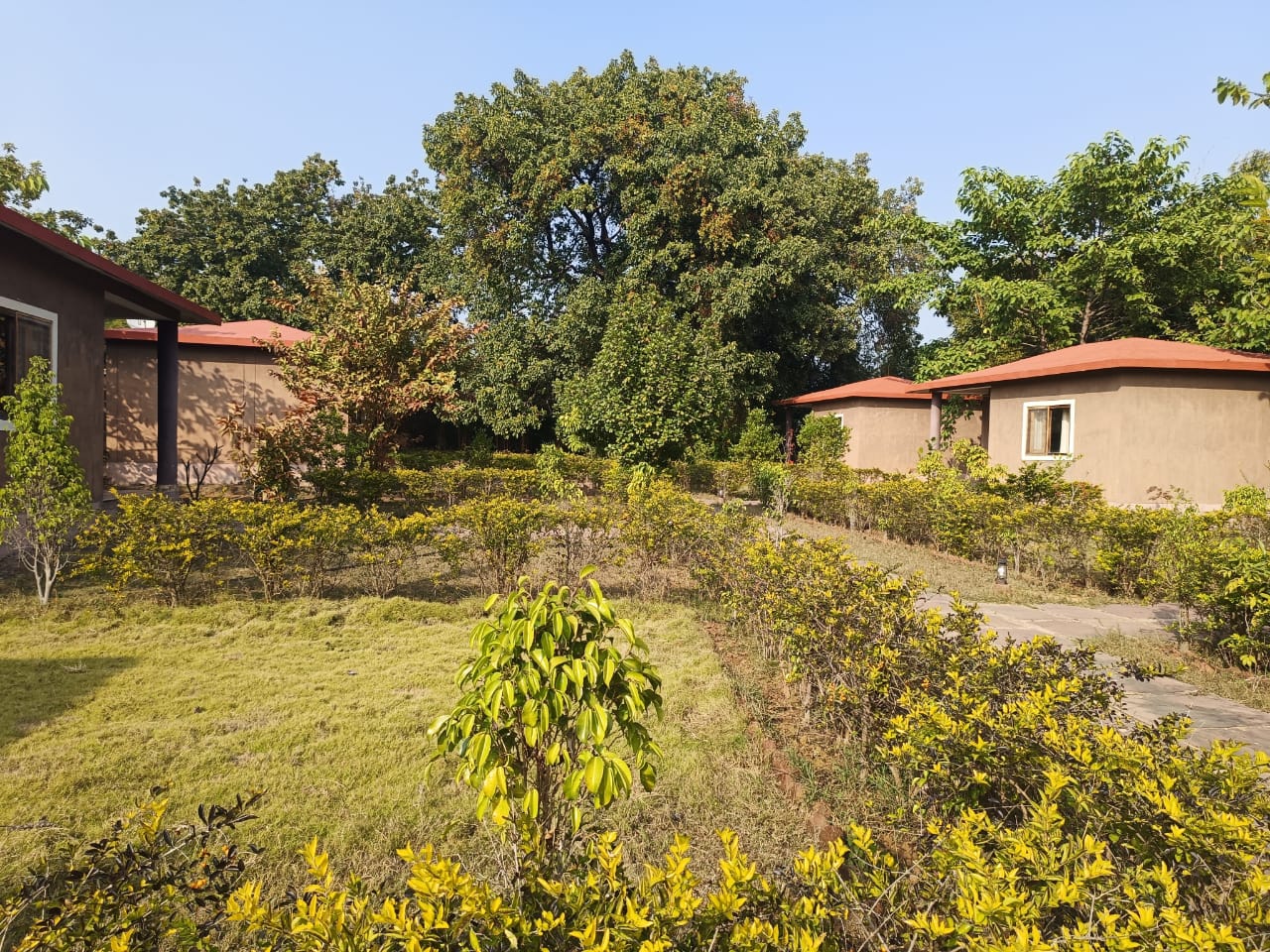 Jungle Suite Interior