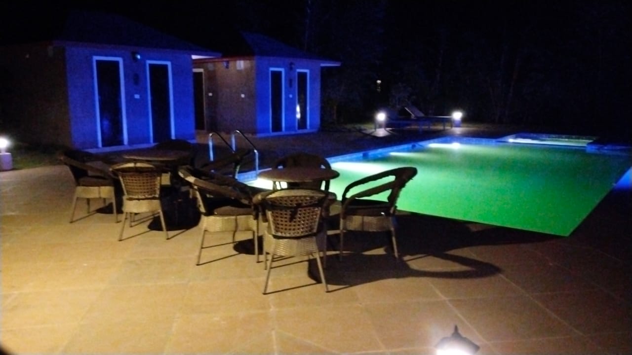 Jungle Suite Interior