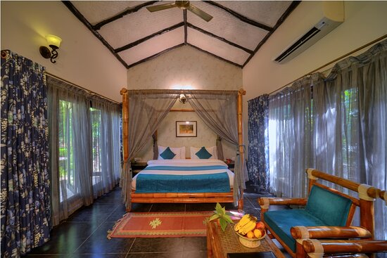 Jungle Suite Interior