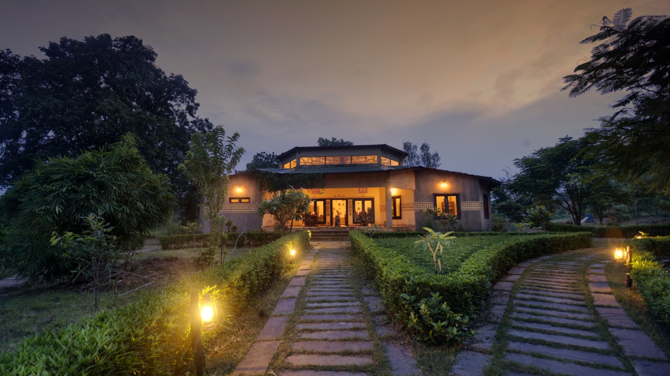 Jungle Suite Interior