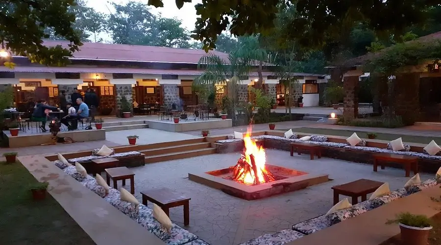 Jungle Suite Interior