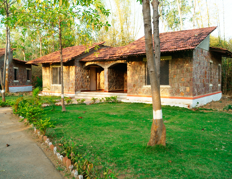 Jungle Suite Interior